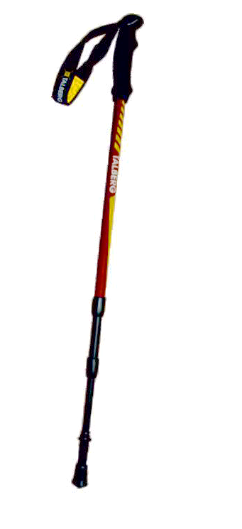Палки Talberg Classic