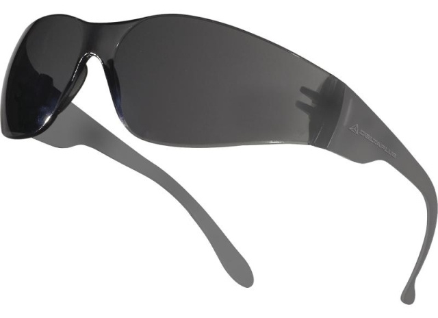 Очки DeltaPlus BRAVA2