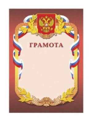 Диплом ЗНС РФ