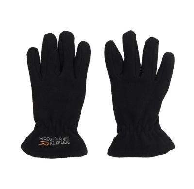 Перчатки Regatta Taz Gloves II