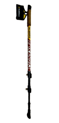 Палки Talberg Scandica