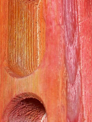 Тренажер скалолазный (ясень)