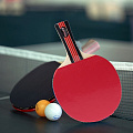 Ракетки для настольного тенниса