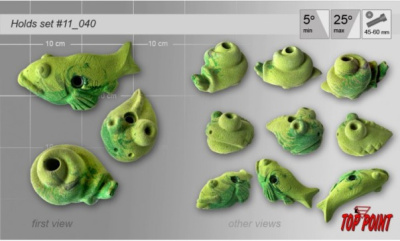 Набор зацепов для скалолазания Top Point #040 (3шт.)